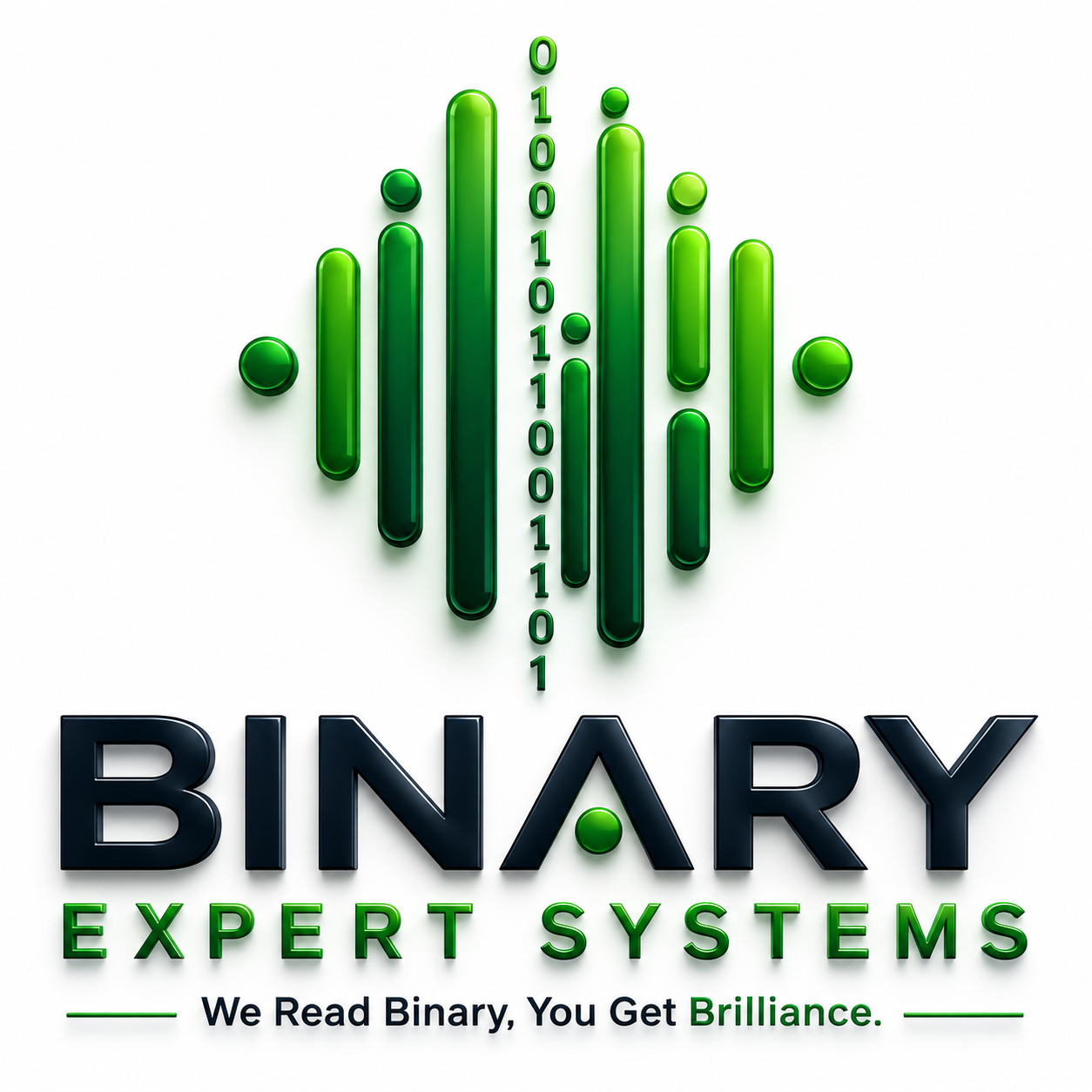 Binary Expert Systems logo